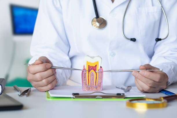Best Orthodontic Emergency Dentist in Totowa, NJ